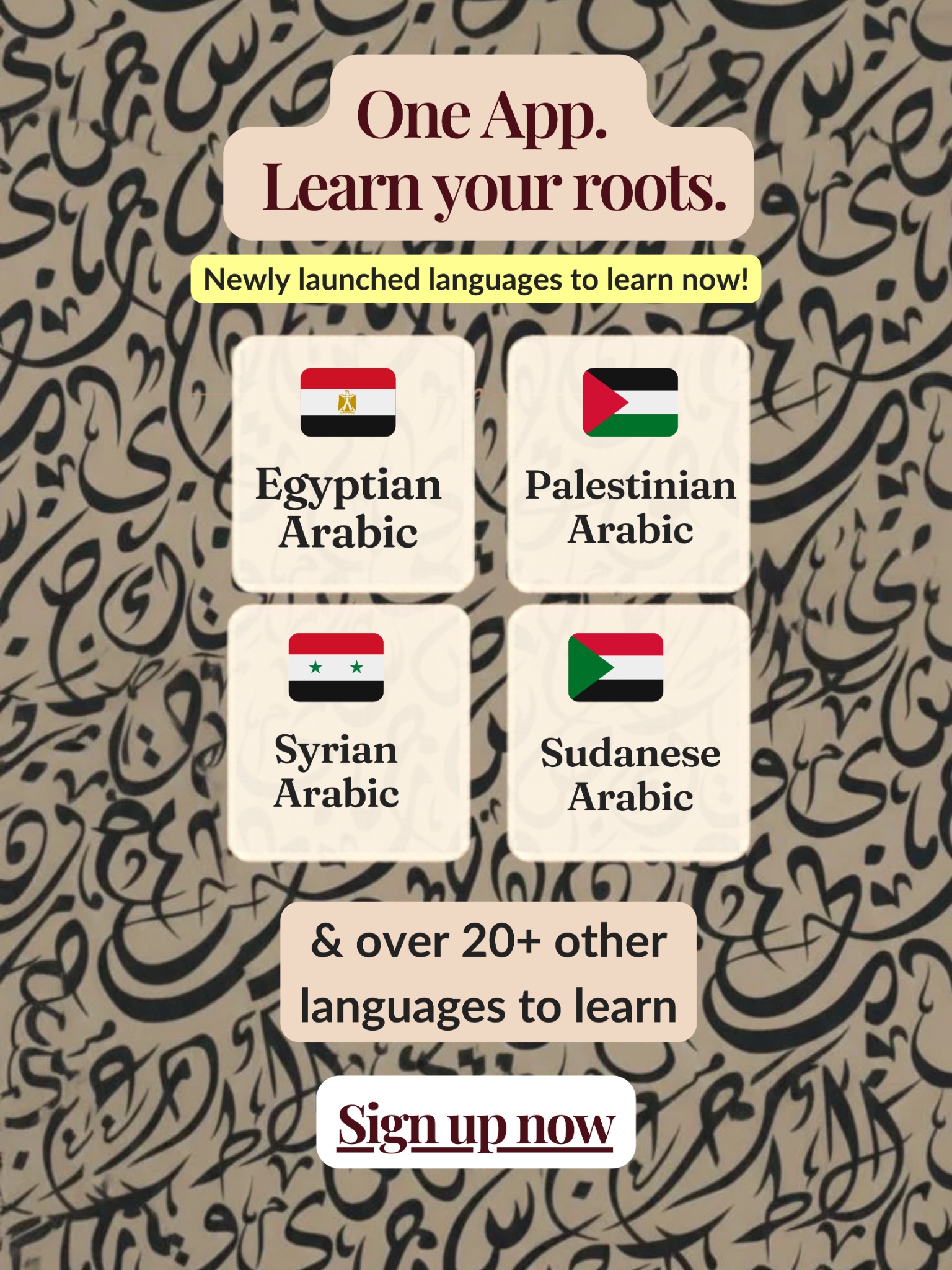 Learn the language you grew up around — finally, in a way th